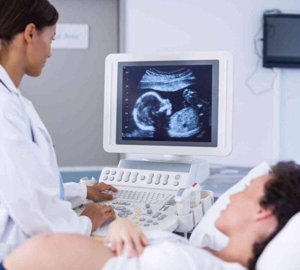 Differences between HMO, PPO and EPO